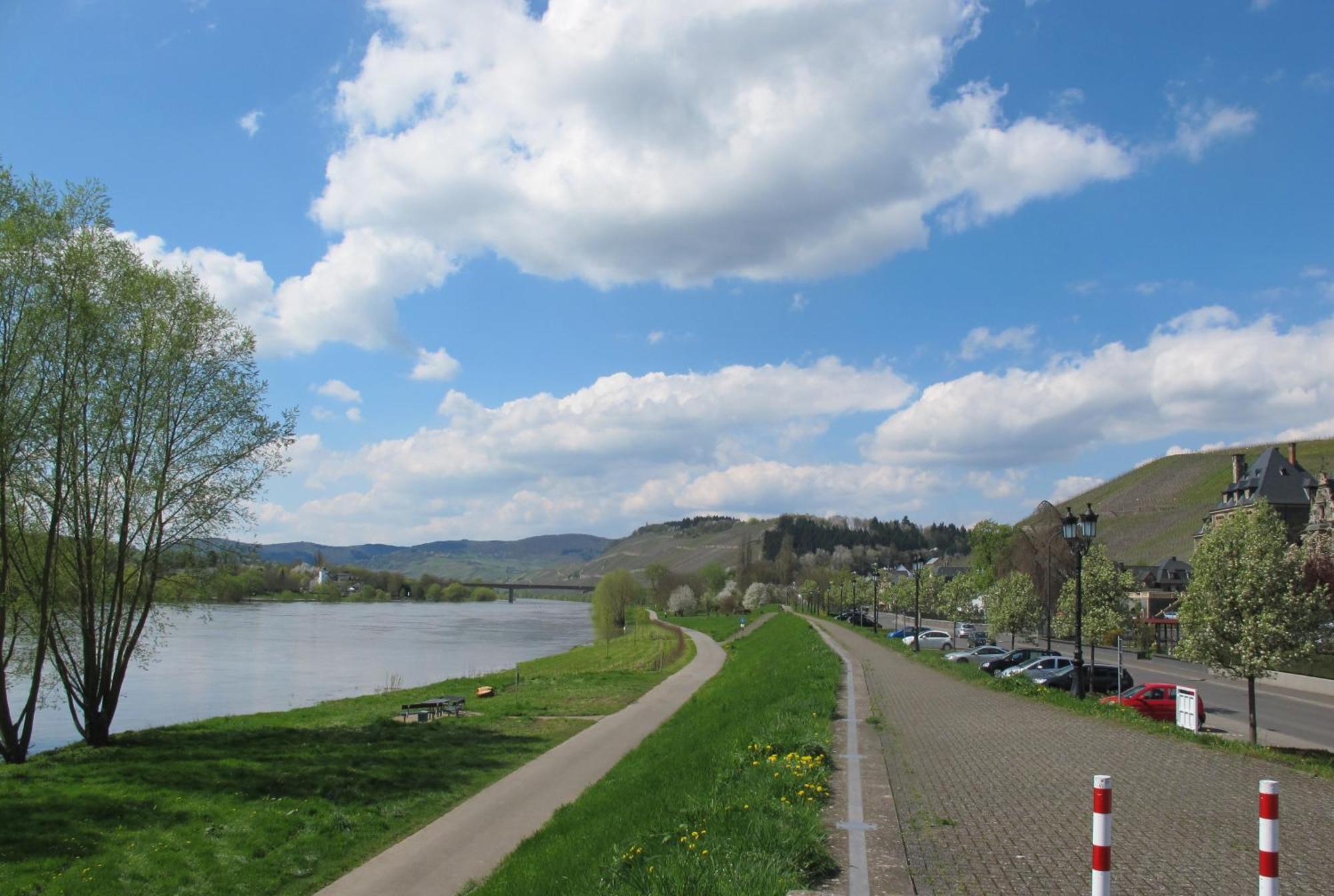 Mosel - River - Quartier 31 Lieser Extérieur photo