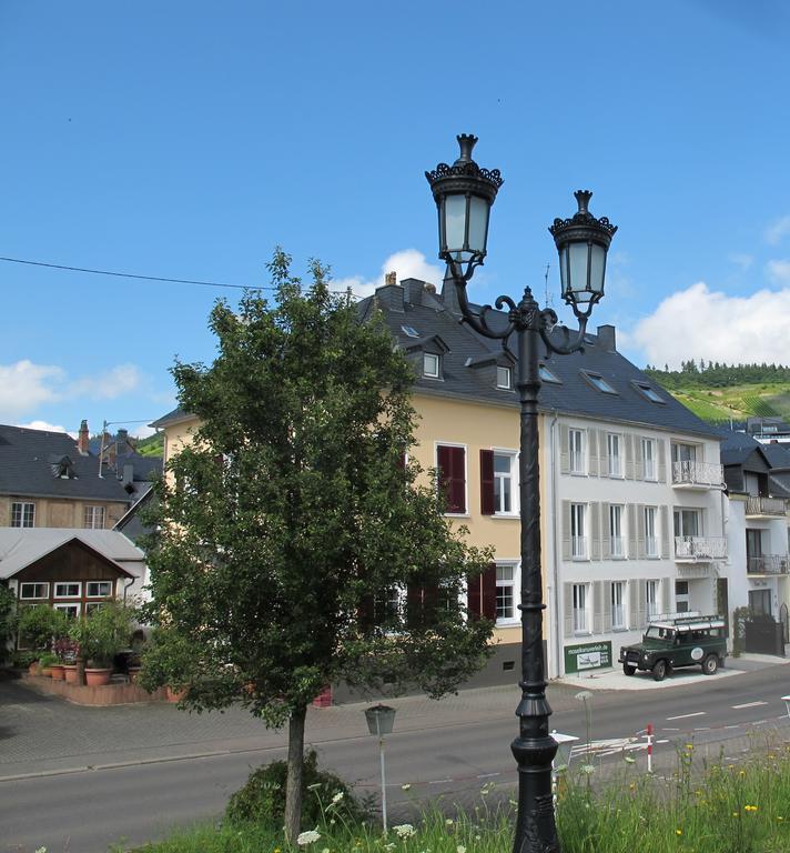 Mosel - River - Quartier 31 Lieser Extérieur photo