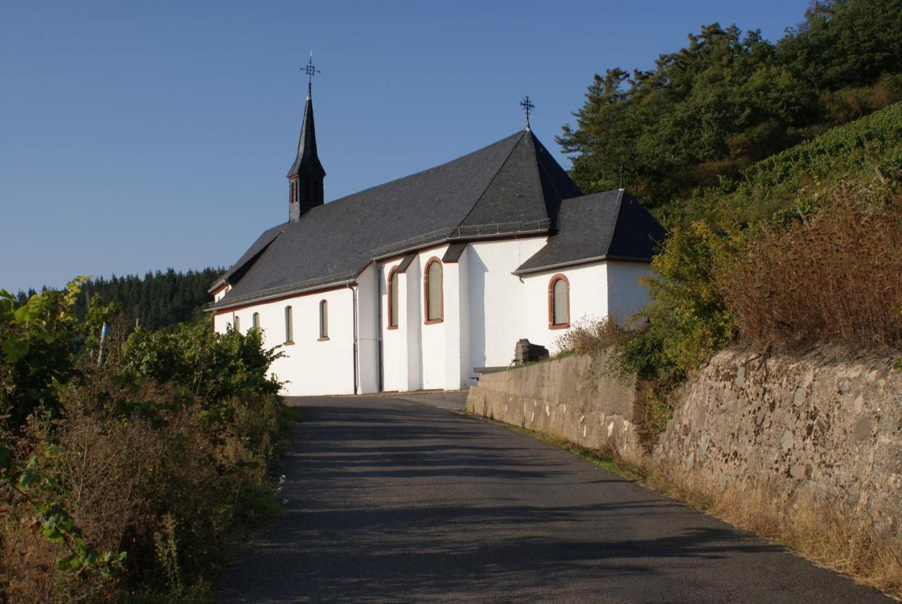Mosel - River - Quartier 31 Lieser Extérieur photo